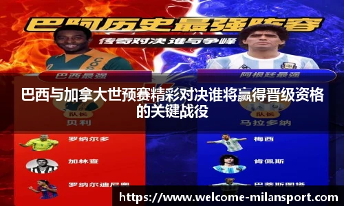 米兰体育官方网站入口